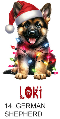 Personalised dog santa sack - dog,