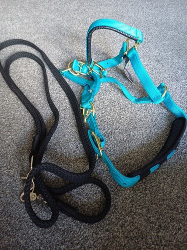Pony headcollar blue and - pony,