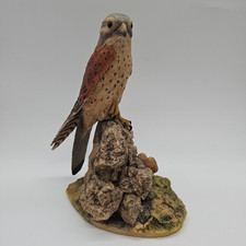 Kestrel Border Fine Arts Birds Rare 