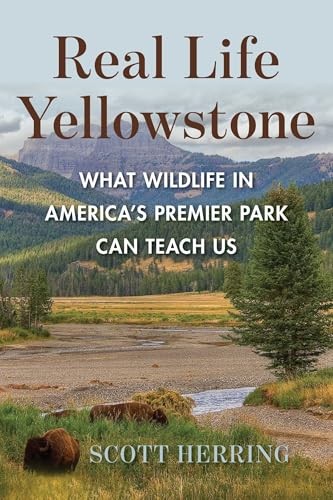 Real life yellowstone - real, yellowstone: