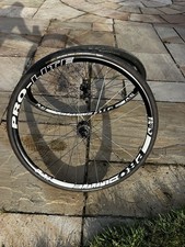 Winter Training Road Bike