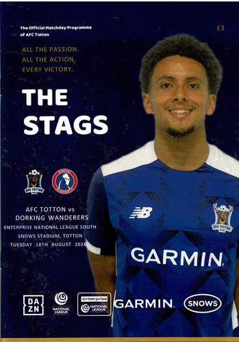 Afc totton dorking wanderers - totton, v