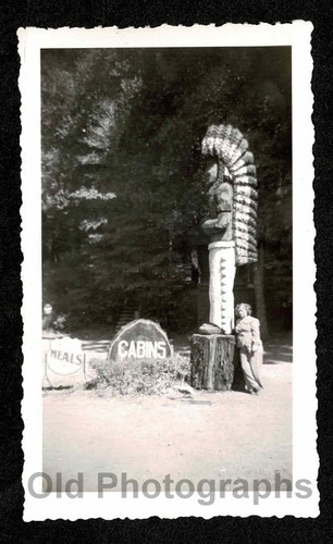 Woman huge redwood - woman,
