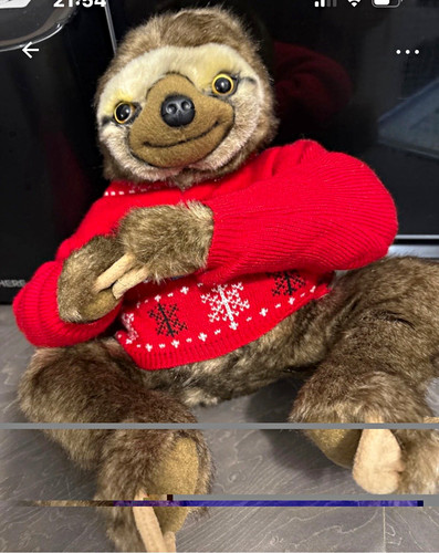 Sloth plush soft - soft, toy