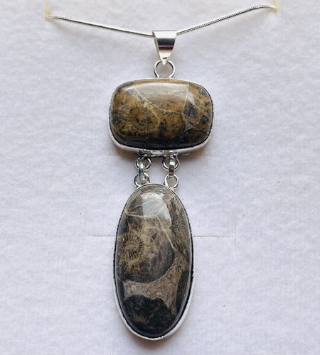 Stunning long fossil coral - fossil,