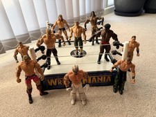 WEE Wrestling Ring with 10