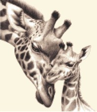 Realistic GIRAFFE + BABY ~