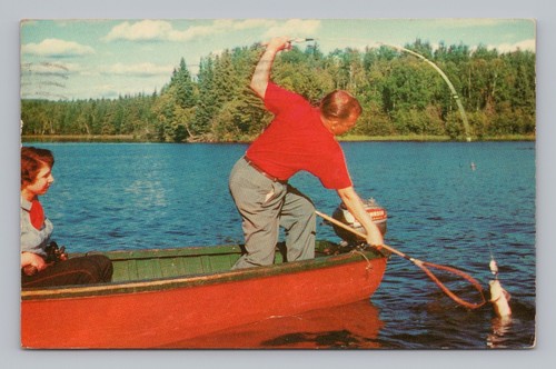 Postcard netting big - in,