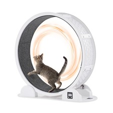 Cat Exercise Wheel with