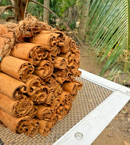 Pure premium ceylon organic - premium,