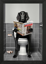 Flat Coated Retriever Framed