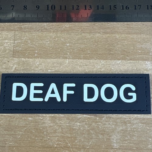 Blind dog coat - blind,