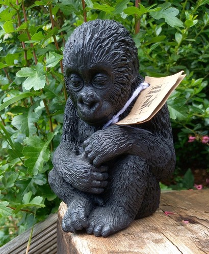Artform dian fossey gorillas - artform,