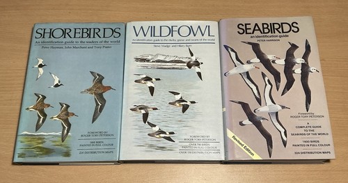Shorebirds wildfowl - 'shorebirds',, &