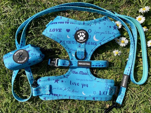 Designer dog harness set - , (cyan
