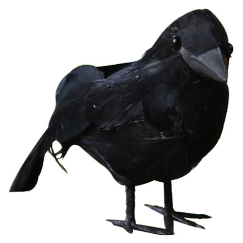 Halloween black feathered crow - black,