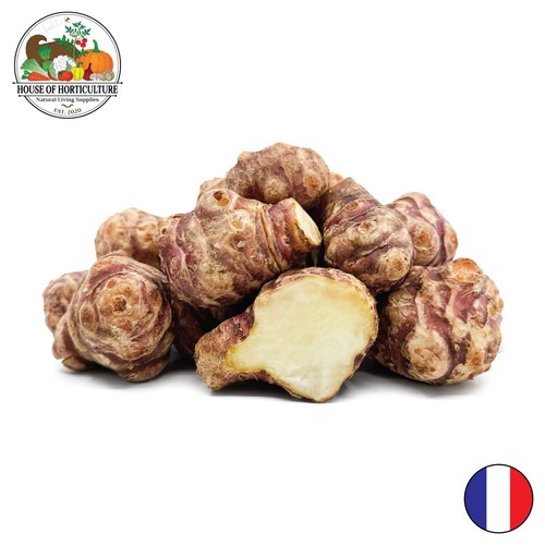 Fresh french jerusalem - fresh,