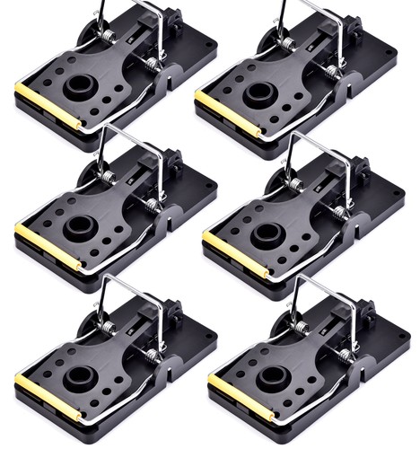 Mouse traps spring - 6x,
