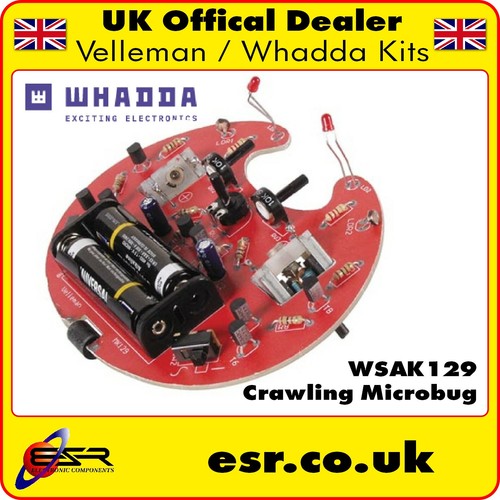 Wsak129 crawling microbug - crawling,