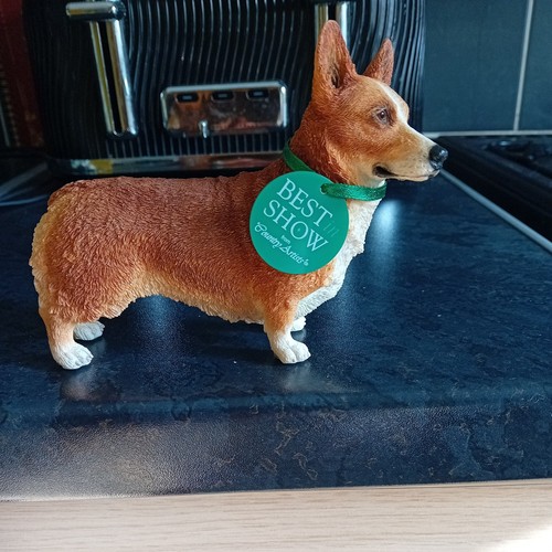 Welsh corgi - corgi,