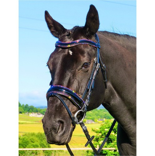Fss anatomical bridle - anatomical, stellar