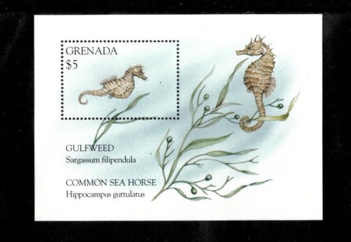 Grenada 1995 sea horses fish - sea,