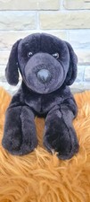Labrador dog lying black