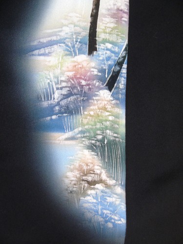 Ayane woods scenery - woods,