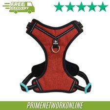3 Peaks Padded Control Harness