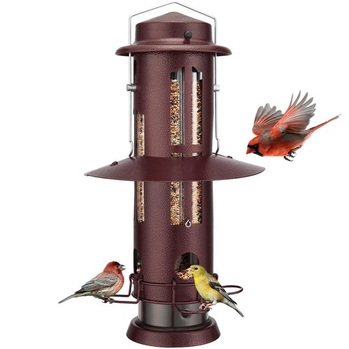 Squirrel proof bird feeders - squirrel,