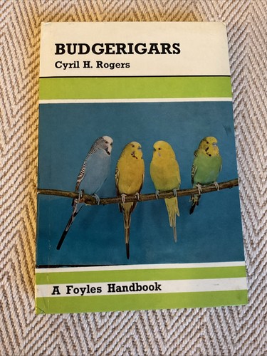 Budgerigars cyril rogers - budgerigars, h