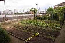 Photo 6x4 Vegetable plot in