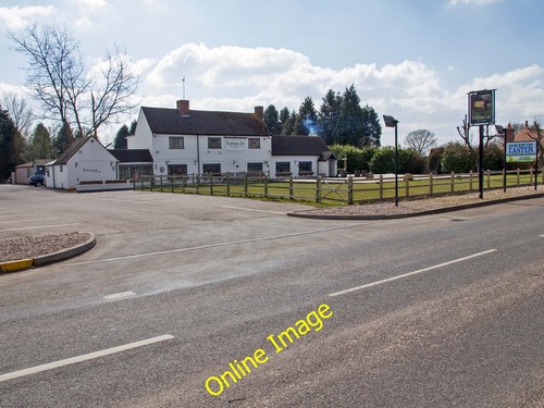 Photo 6x4 durham shrewley - photo, ox,
