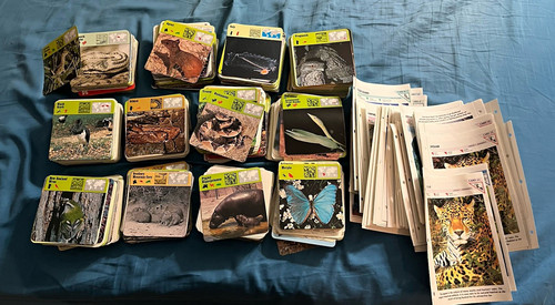 Wildlife fact files and - files,