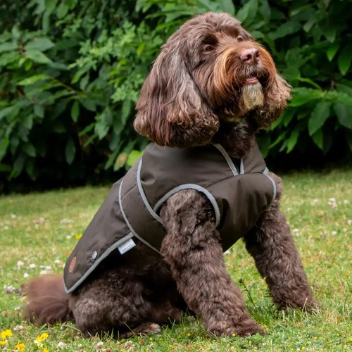 Dog fleece coat - fleece,