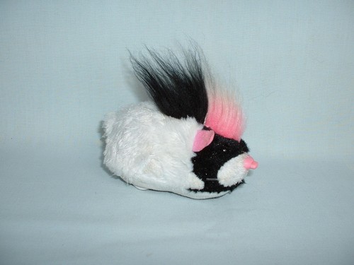 Zhu pets hamsters - zhu,