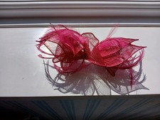Plum Feather and Mesh