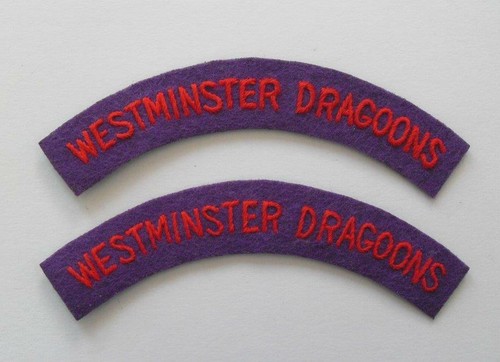 British army westminster - british, army.