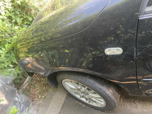 Lupo left wing panel - wing,