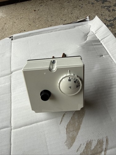 Dual immersion thermostat - dual,