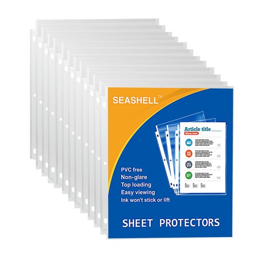 Seashell 100 economy - 100,