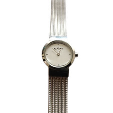 Skagen Ladies Wrist Watch