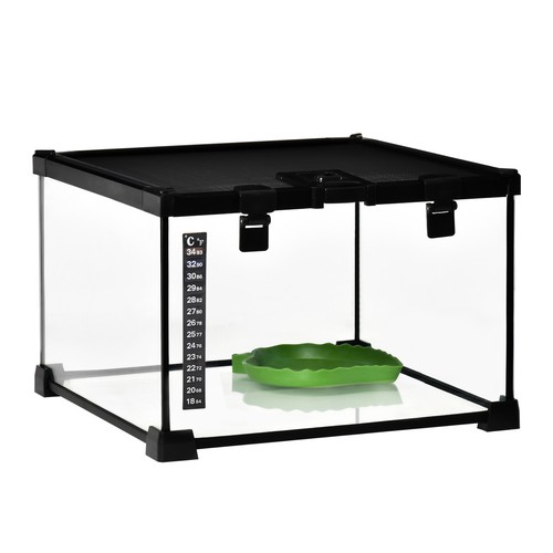 Glass reptile terrarium - reptile,