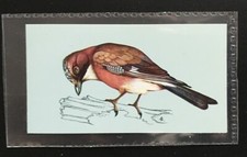 TETLEY (TEA CARD)-BRITISH