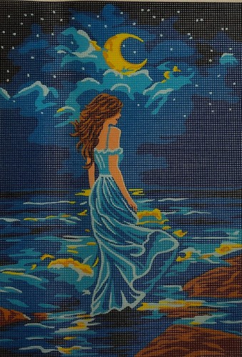 Lady night printed canvas - at,
