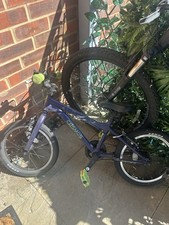 Carrera Cosmos Kids Bike