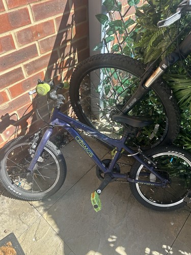 Carrera cosmos kids bike - carrera,