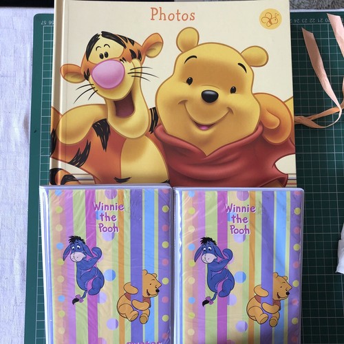 Winnie the pooh photo albums - the,