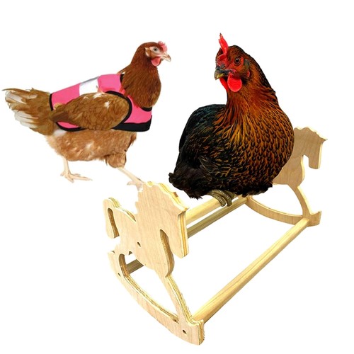 Chicken perch for large bird - perch,