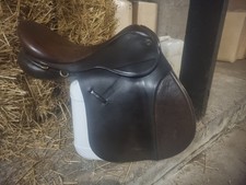 17" Ideal Grandee Vsd / GP